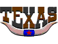 texasiconsm.gif (1532 bytes)